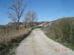 DSC01856.jpg