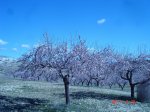 DSC01864.jpg