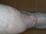 DSCN2271_2.JPG