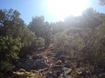 DSC00034.jpg