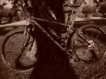 DSC04404.JPG