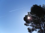 IMGP0782.JPG
