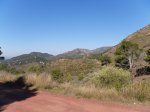 IMGP0781.JPG