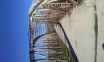2011-03-20 11.13.00.jpg