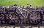 lynskey2.jpg