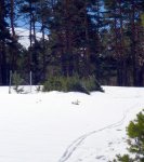 Foto30.JPG