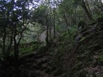 IMG_4668.JPG