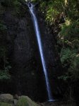IMG_4653.JPG