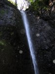 IMG_4667.JPG