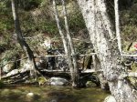 IMG_0032.JPG