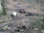 13032010168.jpg