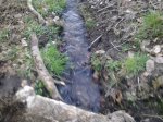 13032010165.jpg