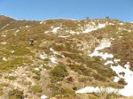 img_5544.jpg