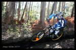 IMG_1680.jpg