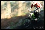 IMG_1767.jpg