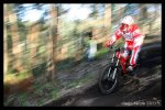 IMG_1768.jpg