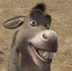 imagesCA2B7KV2.gif