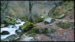 P1020626WEB.jpg