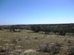IMG_1751.JPG
