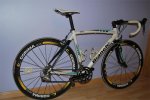 bicinacho1.jpg