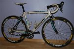 bicinacho2.jpg