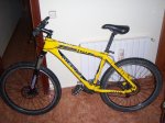 foromtb.JPG