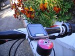 DSC05584.JPG