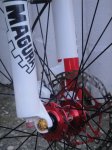 DSC05586.JPG