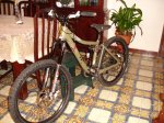 dsc01720v.jpg