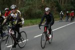 BB2011-3.jpg