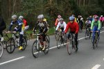 BB2011-7.jpg