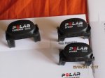 polar.....jpg