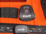 polar......jpg