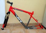 Cuadro Agressor 1.jpg