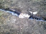 16032010172.jpg