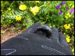 IMG_0506.JPG