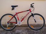 specialized 1.jpg