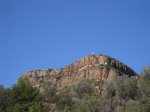 IMG_4885.JPG