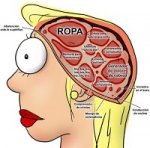 diferencia-hombres-mujeres-cerebro-mujer450[2].jpg