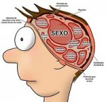 diferencia-hombres-mujeres-cerebro-hombre450[1].jpg