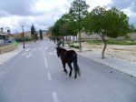 Foto19.JPG