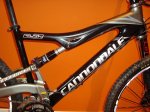 bici5.JPG
