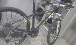 IMAG0049.jpg