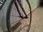 08122010067.1.JPG