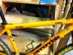 canondale 1.JPG
