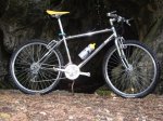 enero 2011 053.jpg