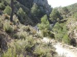 DSCF8158 [nuevas].JPG