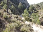 DSCF8162 [nuevas].JPG