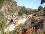 DSCF8168 [nuevas].JPG