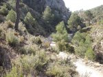 DSCF8164 [nuevas].JPG